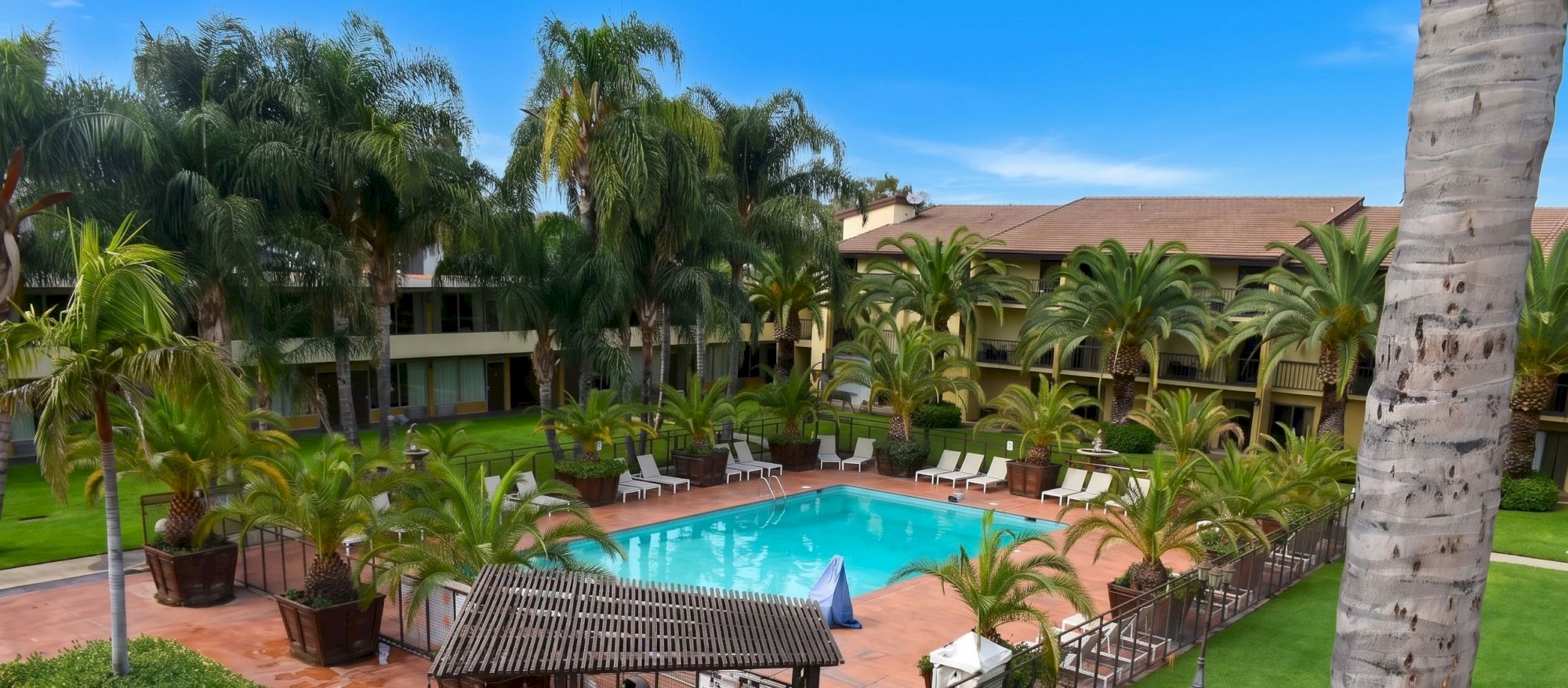 A tropical resort pool area with palm trees, a central kidney-shaped pool, surrounding lounge chairs, and a tiled terrace, all overlooking a courtyard.
